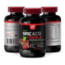 Uric Acid Flush Natural - URIC Acid Cleans - URIC Acid Formula - uric Acid Cleanse and Detox, Turmeric, Cranberry, Pomegranate, Green Coffee Bean, Milk Thistle, uric Acid Flush Pills 1 Bottle 60C