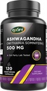 Oxify Ashwagandha (Withania Somnifera) 500 mg | 120 Vegetarian Capsule | Gluten-Free, Non-GMO | Supplement Made in USA