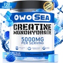 Kreatin monohydrat Gummier for mænd og kvinder 5000mg Creatin monohydrat per servering for muskelstøtte energi Boost 120 Grev tyggetablet 5g Creatin supplement sukker fri Vegan (1 pakke, Blå Hindbær)