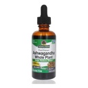 Ashwaganda Root