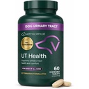 VetriScience Quick Action UT sundhed tyggetabletter, UT styrke STAT supplement til hunde, Cranberry, Uva Ursi, og Chanca Piedra til Soothe Urin Tract discomfort, Smoke, 90 Greve