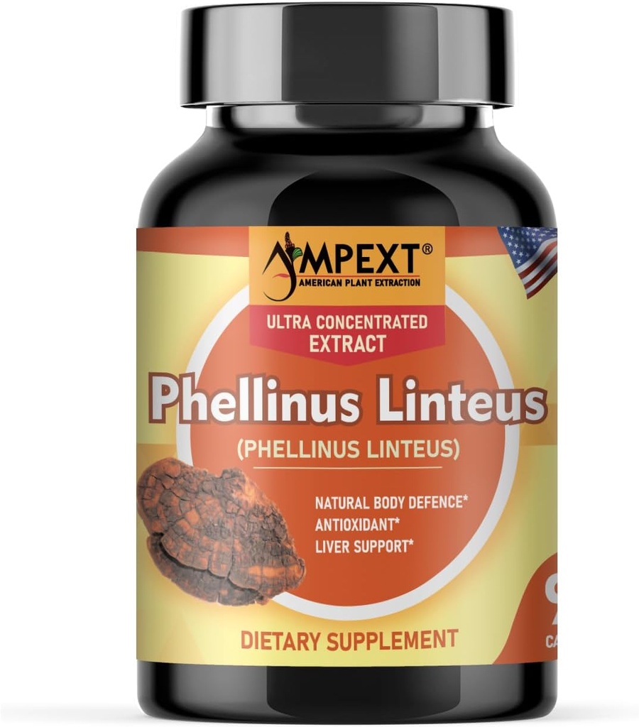 Phellinus linteus Mushroom Extract - Premium Quality, Kun Fruiting organer, Antioxidant, Immunity Booster, Leverstøtte, 90 Veg Caps.