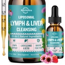 Liposomal Lymphatic Drainage Drops, Liver Cleanse Detox & Repair Liquid Supplement with Milk Thistle, Dandelion, Burdock Root & Echinacea - Lymph & Liver Detox, Antioxidant, Strawberry Flavor 2 Fl Oz