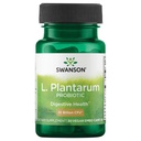 Swanson L. Plantarum - fordøjelsestillæg Fremme Gastrointestinal balance & tarmregularitet - Naturlig formel til at hjælpe med at reducere bloating - (30 Veggie kapsler)