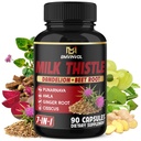BMVINVOL Milk Thistle Capsules with Beet Root, Punarnava, Amla, Ginger, Dandelion, Cissus - 90 Count - 3 Month Supply