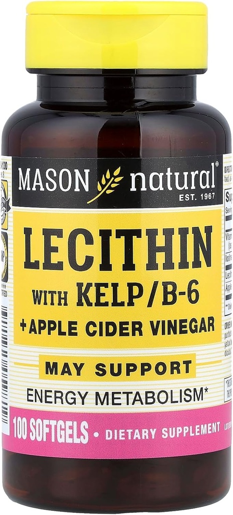 MASON NATURAL Lecithin med KELP, B 6 Plus Cider Vincipeter