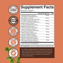 Advanced Mushroom Complex Kapsler - 10X Lions Mane Supplement kapsler med Reishi, Chaga, Maitake & Shiitake for Brain Health Memory Support & Focus - Nootrop for Mental Klarhed - 30 Caps