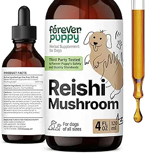 Forever Puppy Red Reishi Mushroom tinktur til hunde - immunsupport Supplement - Mushroom Drops w / Reishi ekstrakt - flydende vitaminer og kosttilskud - Alle racer & størrelser - Sukker & Alkohol- Free - 4 oz