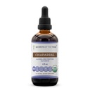 Secrets of the Tribe Chaparral USDA Organic | Alcohol-Free Extract, High-Potency Herbal Drops | Made from 100% Certified Organic Larrea tridentata Dried Leaf and Flower (4 oz)