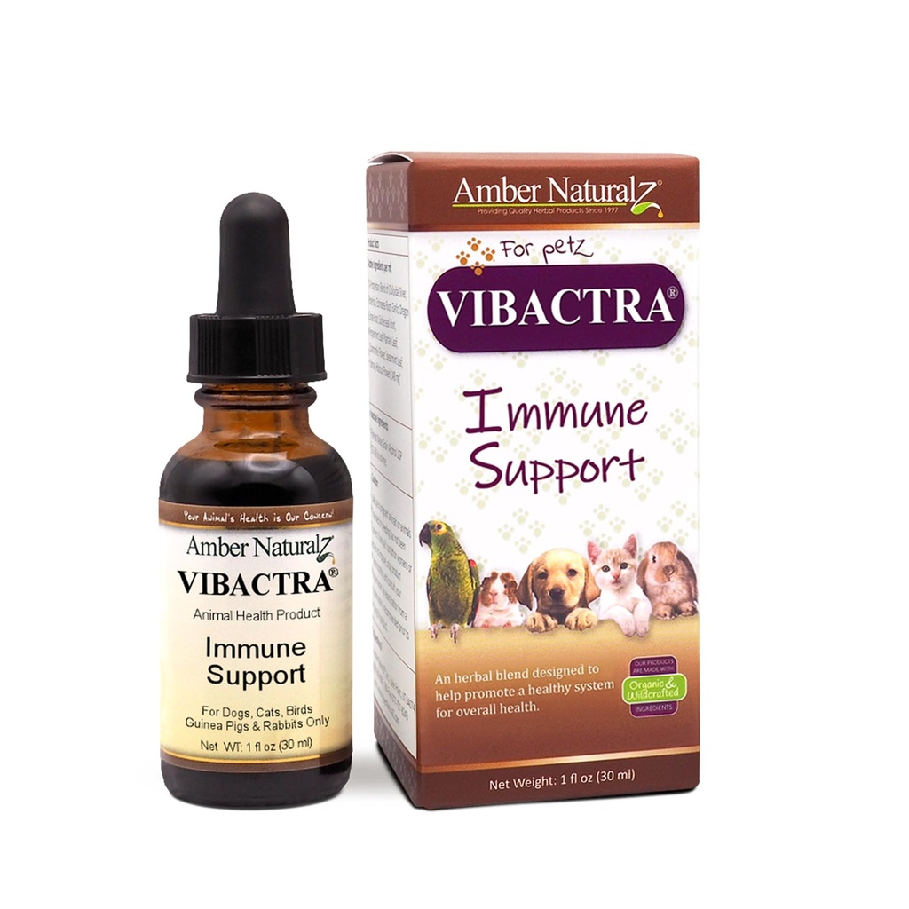 Amber NaturalZ Vibactra immunforsvar Herbal supplement til hunde, katte, fugle, Guinea svin, og kaniner Buddy 124; Pet Herbal Blend for total sundhed Buddy 124; 1 Fluid Ounce glasflaske Buddy 124; Fremstillet i USA