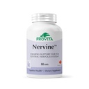PROVITA Nervine | Natural Relaxation & Nervous System Support | California Poppy & Hawthorn | Vegan Calm Support Supplement | Evening Relaxation | Rest, Recovery & Daily Balance | 60 Veg Capsules