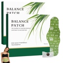 Japanese Herbal Balance Patch, Plant-Based Ingredients, Comfortable Adhesive Design, Easy Topical Use, 2 Boxes, 10 Patches