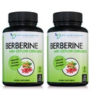 Berberine med Ceylon Cinnamon - 1200mg Berberine & 100mg Organic Ceylon Cinnamon - 120 Veggie Capsules, Sund Immunsystemet Kardiovaskulær Heart & Gastrointestinal Wellness (pakning med 2)