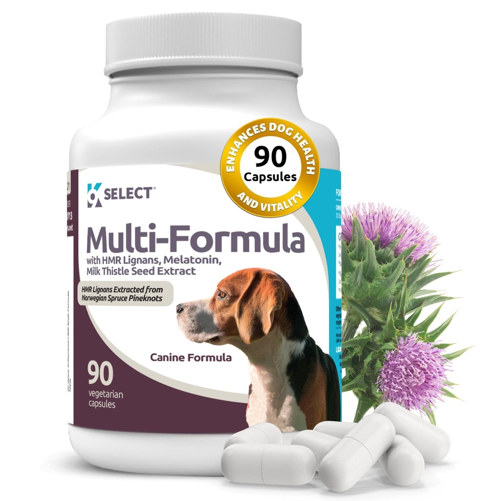 K9 Vælg Multi- Formel hund vitaminer til mellemstore hunde - 20 mg HMR Lignan, 2 mg Melatonin, 40mg Milk Thistle - Hjælper hjerte, lever, fordøjelse & Coat sundhed, hund Multivitamin, 90 kapsler