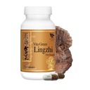 Vita Green Lingzhi Mushroom kapsler til energi, hukommelse og immunforsvar - Pure Reishi tillæg med naturlige antioxidanter til wellness og energi - 72 kapsler