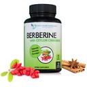 DOCTORHENSTILLEDE TILLÆG Berberine med Ceylon Cinnamon - 1200mg Berberine & 100mg Organic Ceylon Cinnamon - 120 Veggie Capsules, Sund Immunsystem & Gastrointestinal Wellness