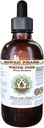 White Pine Alcohol- Free Liquid Extract, White Pine (Pinus Strobus) Tørret Bark Glycerite Natural Herbal Supplement, Hawaii Pharm, USA 4 fl.oz