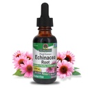 Naturens svar Echinacea Alkohol Free Extract 1 Fluid Ounce Measures 124; Promoes total wellness Measures 124; Natural ImmunoBooster Measures 124; Inflammatorisk Reducer