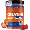 Secret Element Creatine Monohydrate Gummies 5000 mg per Serving, Sugar Free Vegan Gummies, Non-GMO, Creatine Chews for Women & Men, 30 Servings, 120 Gummies, Strawberry Flavor