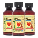 BEDLIFE ESSENTIALS Liquid Zink Plus for Kids & Toddler - Liquid Supplement Drops, Zink Gluconate & Copper til immunforsvar - Mango Strawberry, 4 Fl Oz (pakke med 3)
