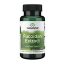 Swanson Maksimum Strength Fucoidan Extract - Herbal Supplement fremme immunsystemet funktion - Naturlig formel støtte Samlet sundhed - (60 Veggie kapsler, 500mg hver)