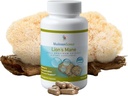 MushroomScience Lions Mane Mushroom Capsules, Memory & Concentration Support, Fuld Spectrum Extract, Mushroom Supplement for voksne, Varmt vand Udtrukket Mushrooms, Vegetarisk, 300MG, 90 ct
