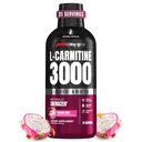 PROSUPPS L- Carnitin Liquid 3000, Stimulant- Free Liquid Shots for Mænd & Kvinder - Ren workout drink for energi, ydeevne og muskel Inddrivelse - Ingen sukker, ingen kulhydrater - 31 Servering, Dragon Fruit