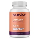 BESTVITE Filler-Free L-Leucine 500mg per Capsule (240 Vegetarian Capsules) – No Stearates, No Fillers – Vegan, Non-GMO, Gluten-Free Leucine Supplement – Essential Amino Acid Supplement