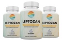(3 Pack) Leptozan Advanced Formula - Leptozan Dietary Supplement (180 Capsules)