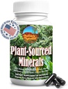 Fulvic Humic Mineral Blend of Trace Minerals, Electrolytes, Gut Health, Kognitiv funktion, Hydration & immunforsvar, Pure Vitality Formel for Wellness - 60 kapsler