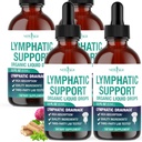 Organic Lymphatic Drainage Drops - All in 1 Organic Lymphatic Drainage Supplement with Burdock Root, Echinacea, Elderberry, Calendula, Cleavers Herb, Dandelion Supports Lymphatic Health - 8 OZ