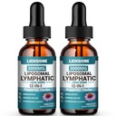 2 Packs 3000MG Liposomal Lymphatic Drainage Drops, 12 in 1 Organic Lymphatic Drainage Supplements with ElderBerry, Burdock Root, Cleavers Herb & Echinacea, Lymphatic Cleanse Immune Support, 4 Fl oz