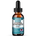 1 Pack 3000MG Liposomal Lymphatic Drainage Drops, 12 in 1 Organic Lymphatic Drainage Supplements with ElderBerry, Burdock Root, Cleavers Herb & Echinacea, Lymphatic Cleanse Immune Support, 2 Fl oz
