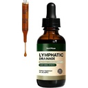 Lymphatic Drainage Drops with Elderberry & Echinacea – Non-GMO - for Immune Support, Natural Detox & Lymph Flow, Alcohol-Free – 2 FI Oz(1pcs)