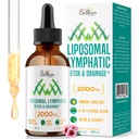 Liposomal Lymphatic Drainage Drops 2000mg – Lymph System & Immune Support – Fluid Balance Support - Lymphatic Detox & Cleanse Supplements with Echinacea, Dandelion & Elderberry – 2 FL OZ