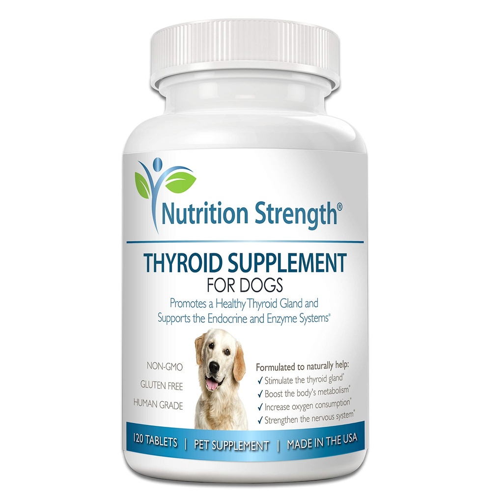 Thyreoideatillæg til hunde, Støtte til Hypothyroidisme hos hunde med Organic Bladerwrack, fremmer normal funktion af endokrine og enzymer systemer, 120 tyggetabletter