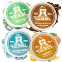 Rebel Nootropic Energy Caffeine Pouches (Variety 4-Pack) • 100mg Caffeine • Alpha GPC • Huperzine A & Essential Vitamins • Sugar-Free • Coconut Fiber Technology •15 Pouches Per Can (Pack of 4)