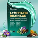21-in-1 Liposomal Lymphatic Drainage Supplements, 100 Day Supply, 6000mg Lymph System Support for Women & Men with Echinacea, Dandelion, Burdock, Bromelain, Calendula, Turmeric & More, 300 Softgels