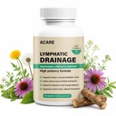 Lymphatic Drainage Capsules Natural Herbal Supplement for Immune Health & Fluid Balance, with Echinacea, Dandelion, and Burdock 60 Capsules