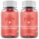 WellPath Pure ACV Gummies (2 Pack) - Apple Cider Vincipes med mor - USDA Organic Gummy med ingefær til Gut Health