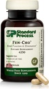 Standard Process Fen- Cho - fordøjelse & Gut Health Supplement - Gluten- Free, Non- Dairy & Non- Soy - 90 Kapsler (45 Servere)
