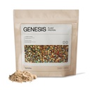 Synchro Genesis Plant Based Protein Powder | Vanilla Spice | 30g of Organic Protein Per Serving | <1g Sugar | 1g Net Carbs | No Stevia | Superfoods + Prebiotics | Vegan + Keto Friendly
