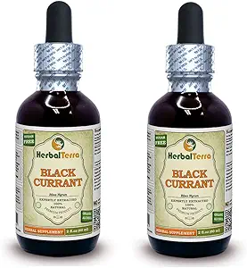 Sort Currant (Ribes nigrum) Tinktur, Tørrede blade flydende ekstrakt (Brand Name: HerbalTerra, Stolt Made in USA) 2x2 fl.oz (2x60 ml)