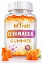 Echinacea 1000mg Gummies Supplement – Herbal Immune Formula, Botanical Antioxidant Blend, Vegan Plant Based, Non-GMO, Gluten Free, Chewable for Adults, Daily Wellness Option, 60 Count Bottle