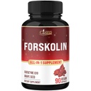 Cadane Forskolin Supplement with Coenzyme Q10 & Grape Seed Extract | Supports Body Management & Energy | Vegan, Non-GMO – 90 Capsules – 45-Day Supply
