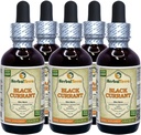 Black Currant (Ribes nigrum) Tincture, Dried Leaves Liquid Extract (Brand Name: HerbalTerra, Proudly Made in USA) 5x2 fl.oz (5x60 ml)