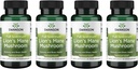 Swanson Full Spectrum Lions Mane Mushroom - Brain Health Supplement til Support Memory, Focus & Clarity * - Kan også hjælpe immunforsvar, hjerte & fordøjelsessygdomme - Gluten- Free & Non- GMO - 60 kapsler (4 Pack)