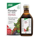 Floradix Jern & Urter - Flydende urtetilskud til energistøtte - Jerntilskud med C-vitamin & B-kompleks - for mænd og kvinder - 8.5 fl oz