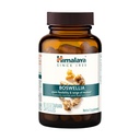 Himalaya Boswellia, Fælles støtte til mobilitet og fleksibilitet, fremmer Tissue Preservation, 250 mg, 60 kapsler