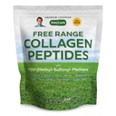 Andrew Lessman Free Range Collagen Peptides Powder and MSM 240 Servings - Supports Smooth Soft Skin, Comfortable Joints. Pure. Super Soluble. Unflavored. No Sugar. No Additives.
